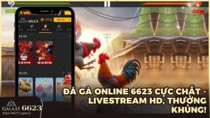 Đá Gà Online 6623 cực chất với công nghệ Livestream HD và thưởng khủng!