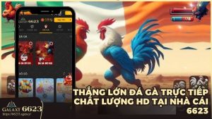 Thắng lớn đá gà trực tiếp chất lượng HD tại nhà cái 6623